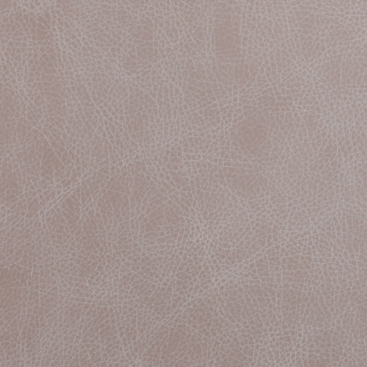 Saloon Leather
