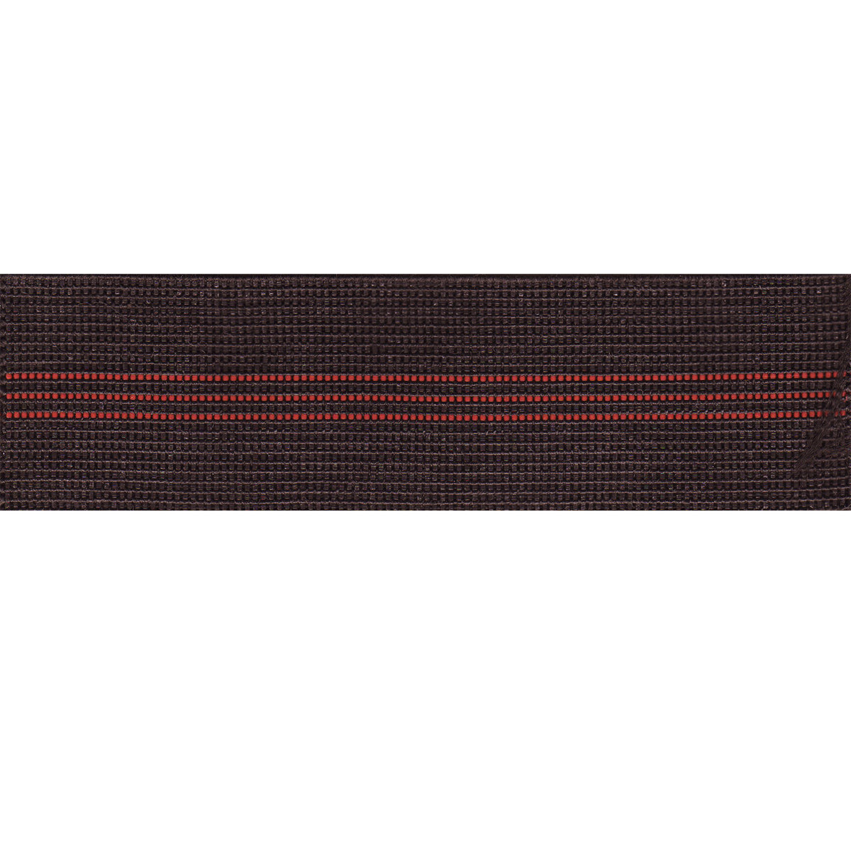 Elastic Webbing