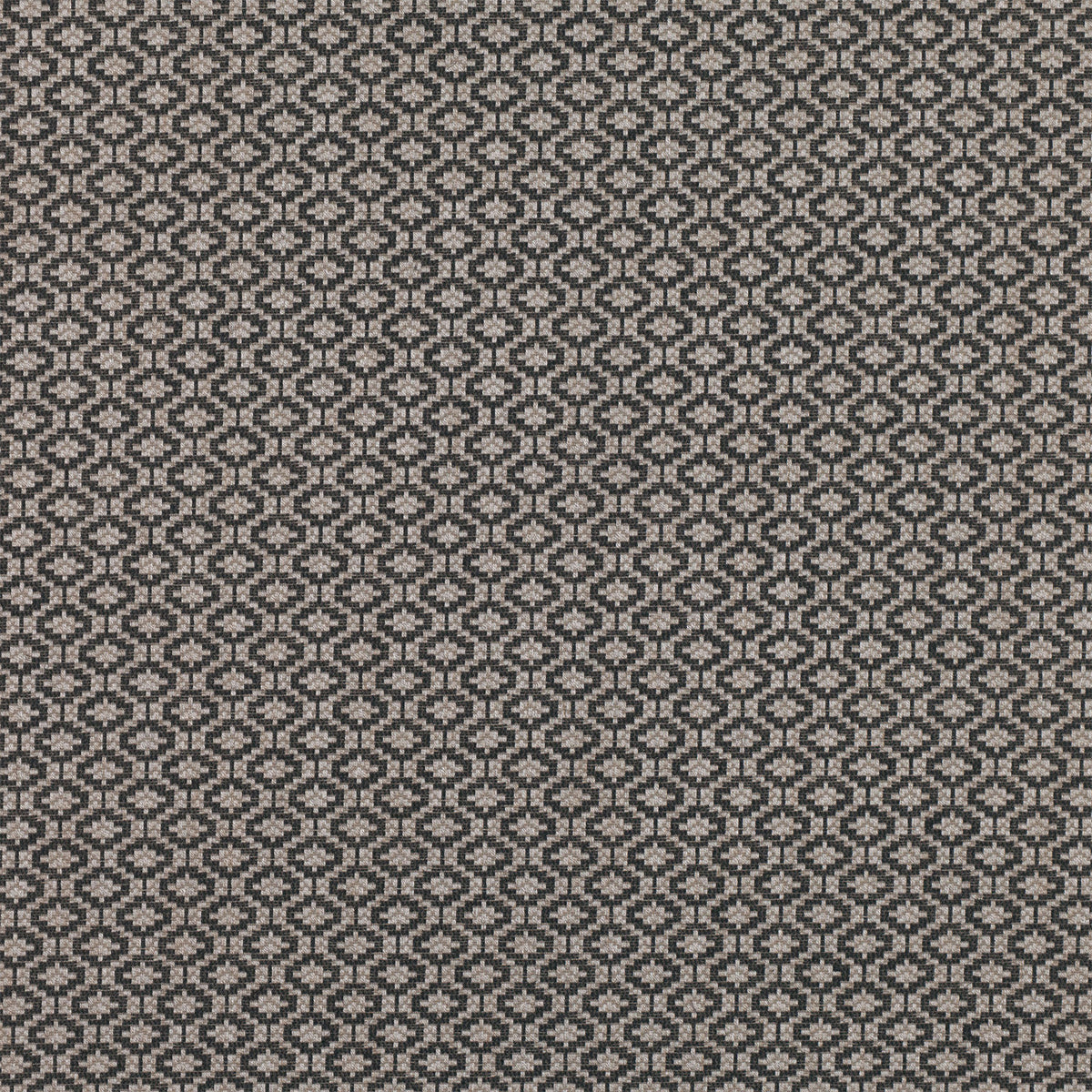 Austin Patterned Fabric