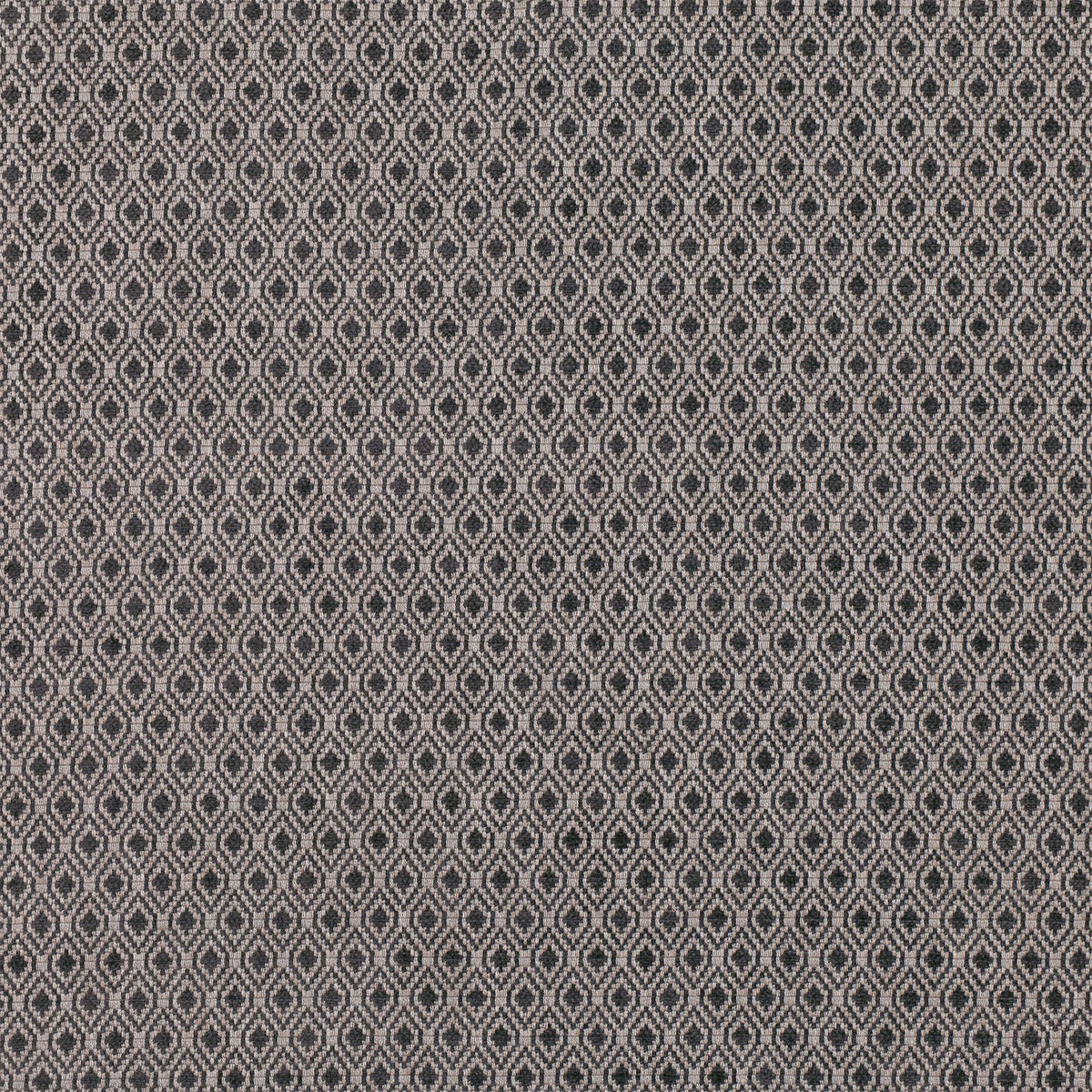 Ennis Patterned Fabric