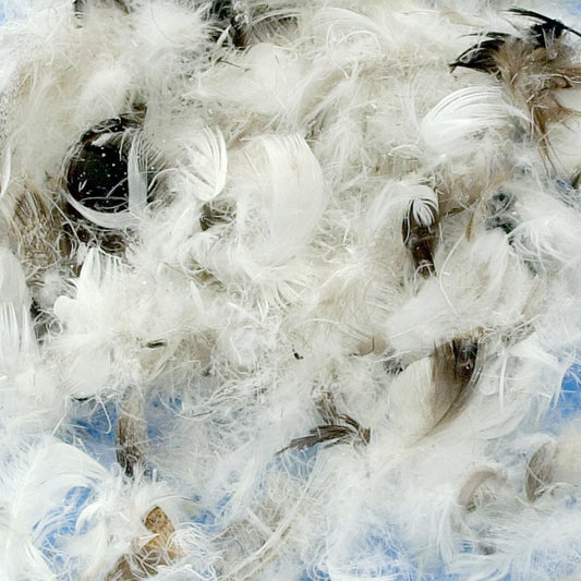 China Duck Delux Feathers for Seat & Back Cushions | Upholstery Warehouse