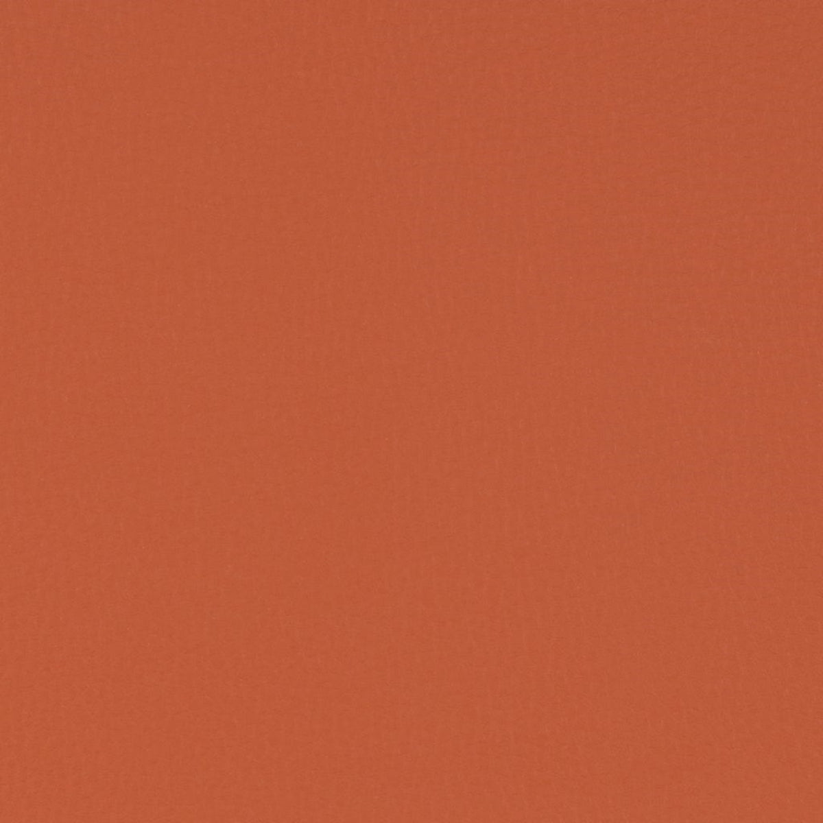Venus Crib5