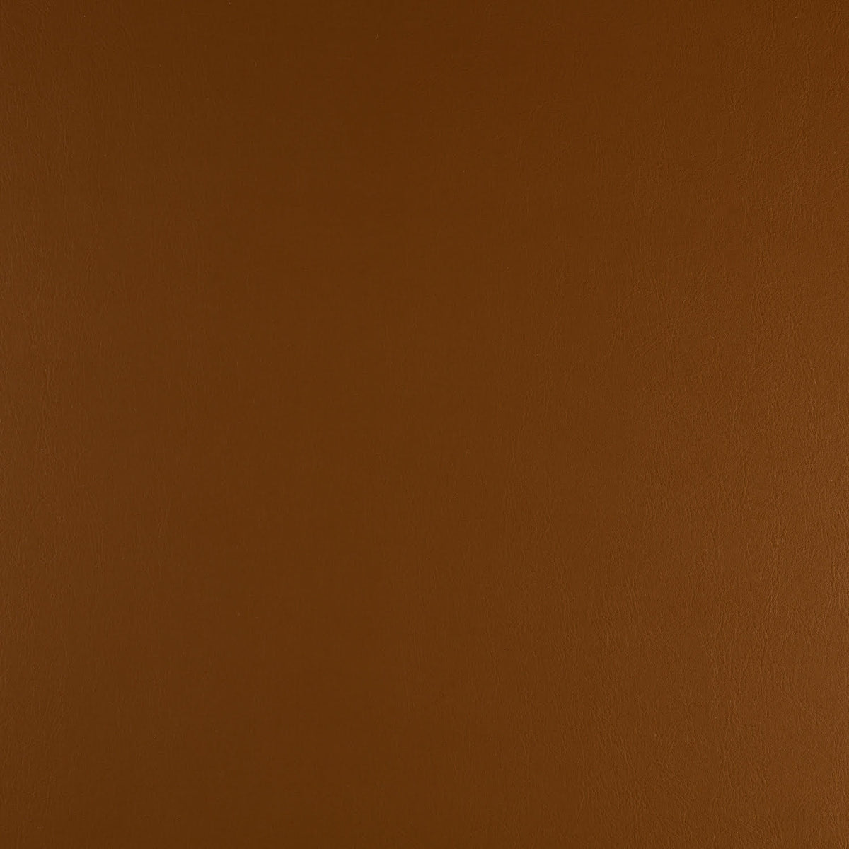 Just Vinyl (137-139cm)