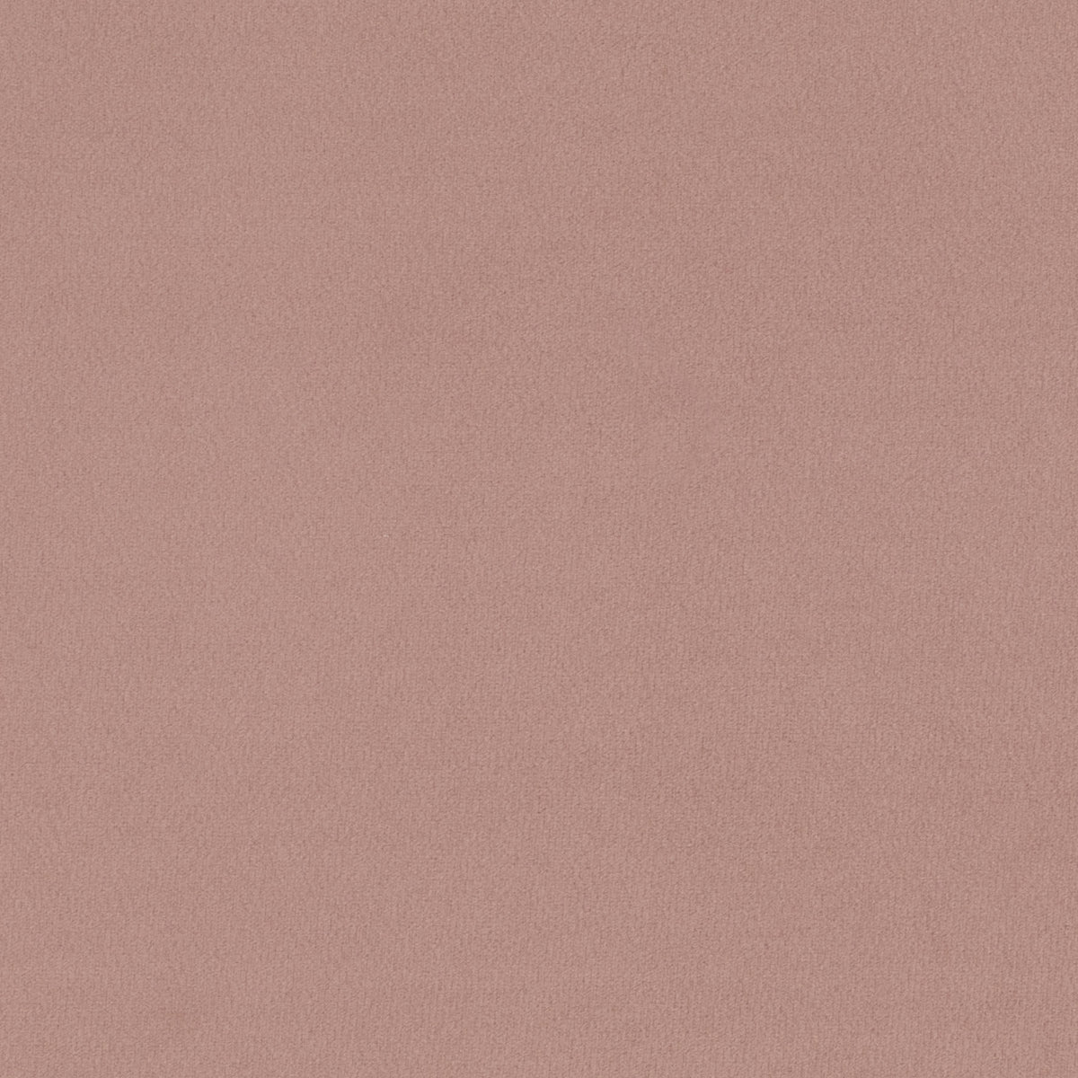 Prima Velvet – Blush Pink | Upholstery Warehouse