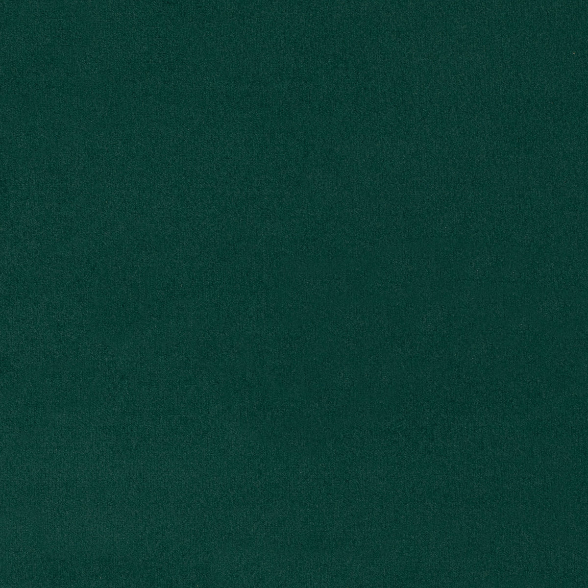 Prima Velvet