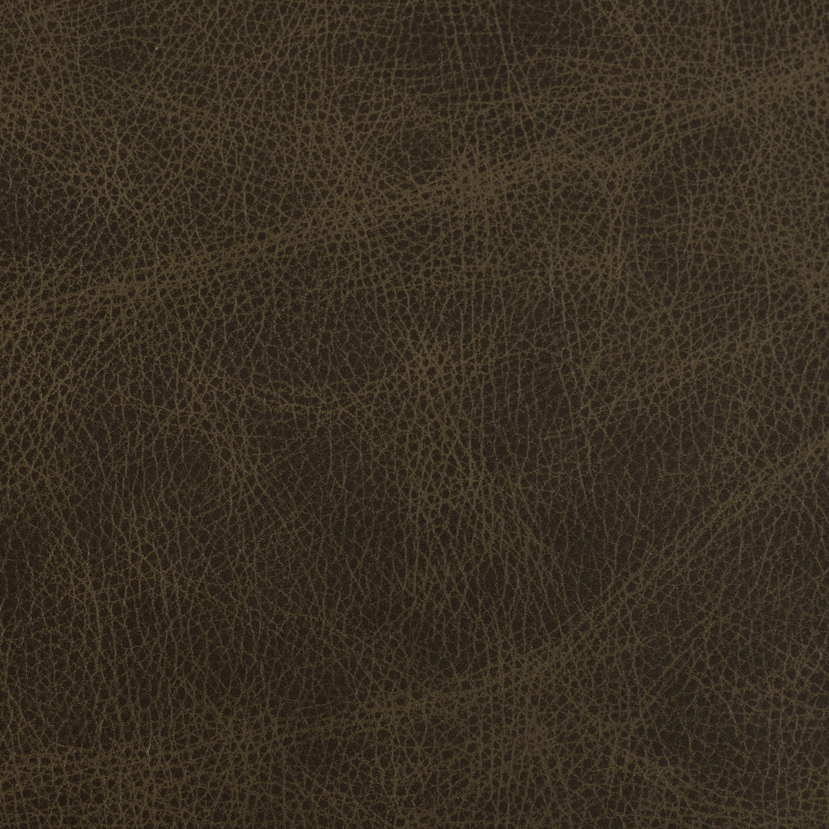 Saloon Leather