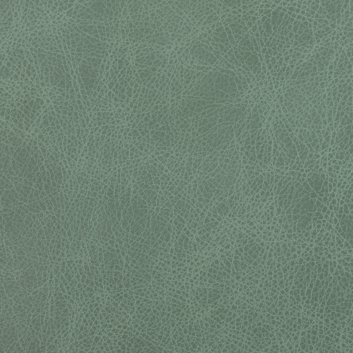 Saloon Leather