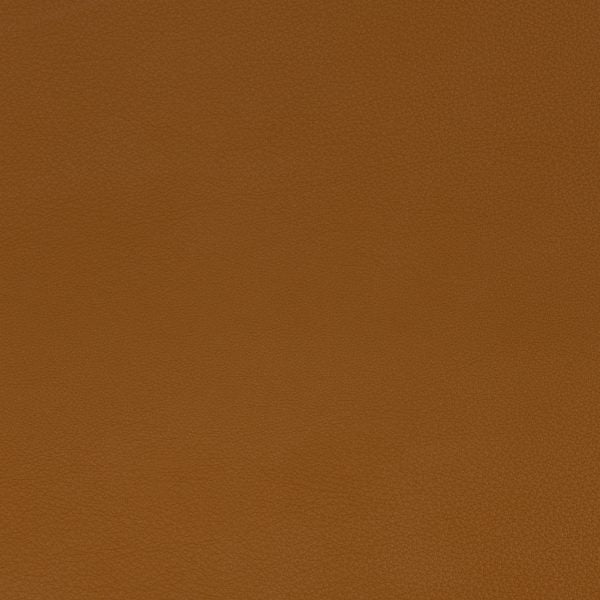 Tempesta Leather