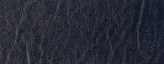 Legend (137cm)