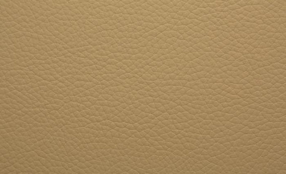 Shelly Leather