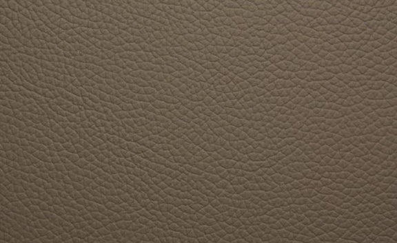 Shelly Leather