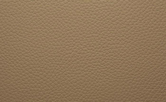 Shelly Leather