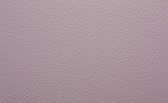 Shelly Leather