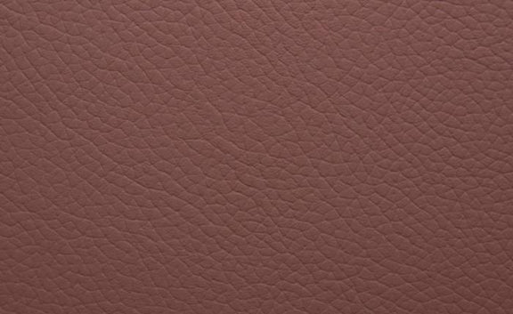 Shelly Leather