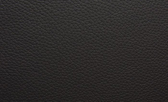 Shelly Leather
