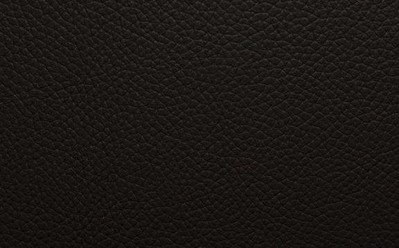 Shelly Leather