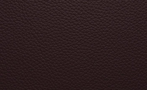 Shelly Leather