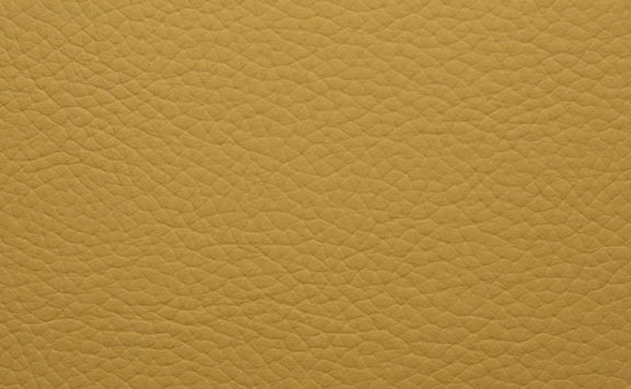 Shelly Leather