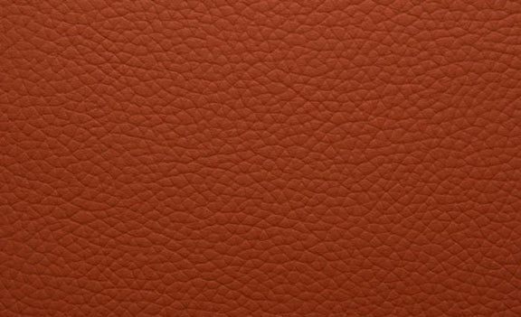Shelly Leather