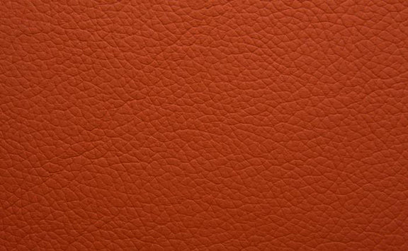 Shelly Leather