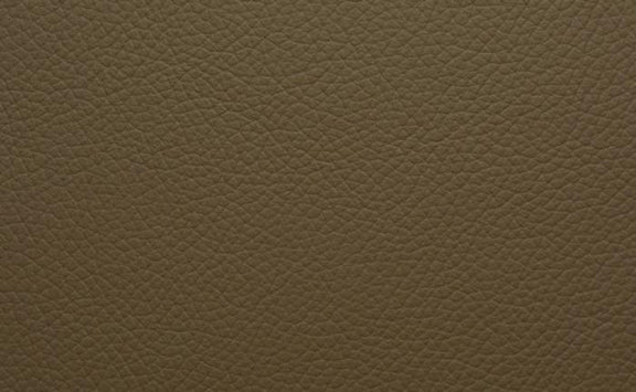 Shelly Leather