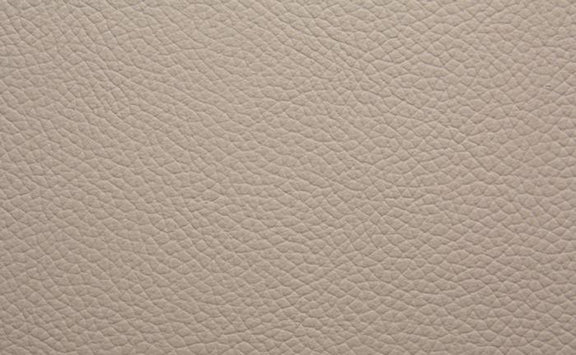 Shelly Leather