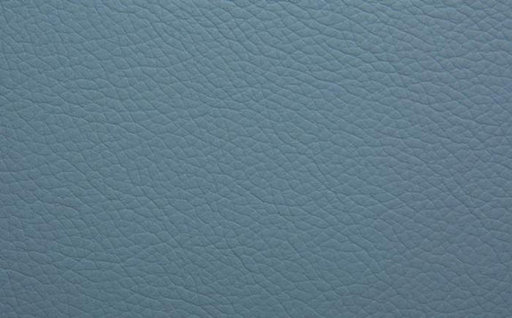 Shelly Leather