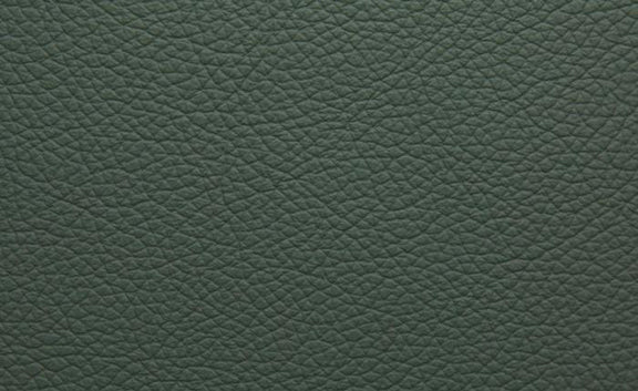 Shelly Leather
