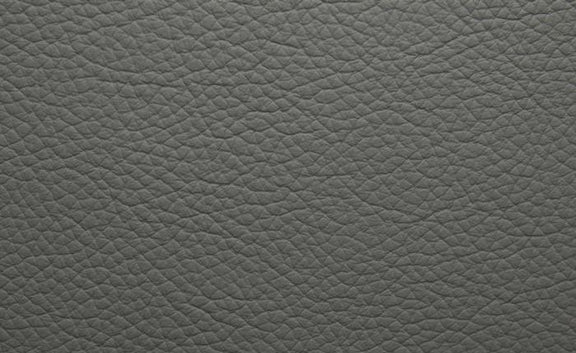 Shelly Leather