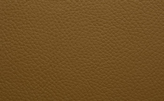 Shelly Leather