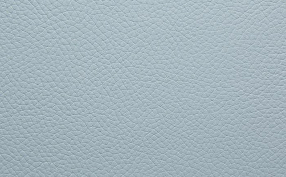 Shelly Leather