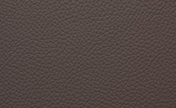 Shelly Leather