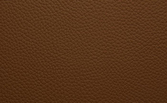 Shelly Leather