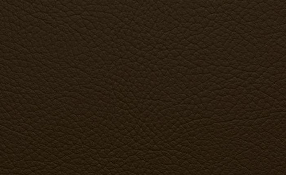 Shelly Leather