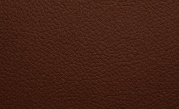 Shelly Leather