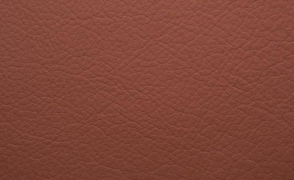 Shelly Leather