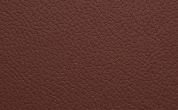 Shelly Leather
