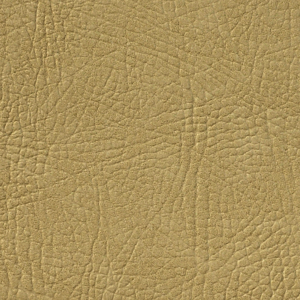 Catalan - Smooth/Medium Grain - Beige