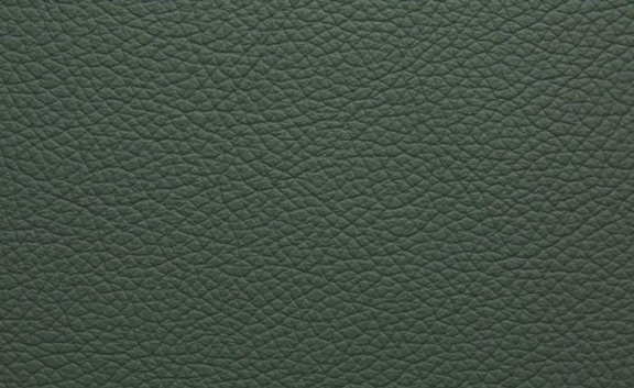 Shelly Leather - Lichen