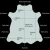Vele Leather - Chalk White - Image 2