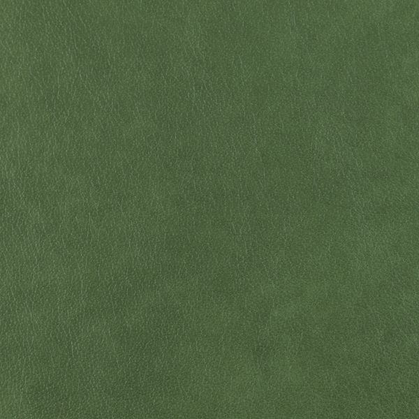 Austen Leather - Aloe