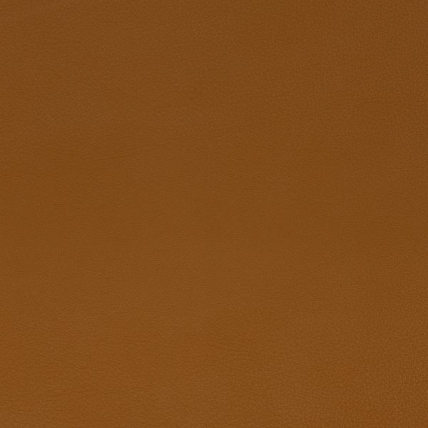 Tempesta Leather - Acacia