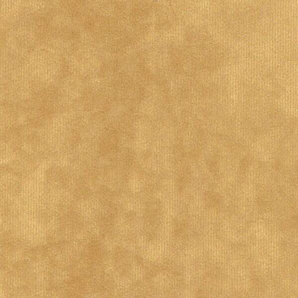 Dolce Fabric col Beach